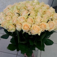 101 кремовая роза