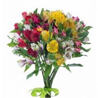 11 разноцветных альстромерий