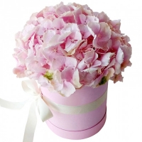 Нежные чувста