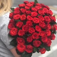 51 красная роза