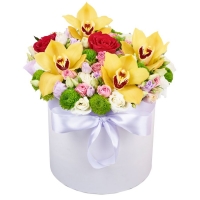 Для найулюбленішої