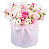 Для найулюбленішої