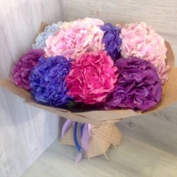 Гортензия микс