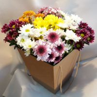 Коробка из хризантемы