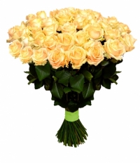 51 кремовая роза