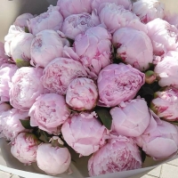 Праздник весны