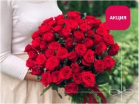 51 красная роза