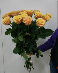 Кремовые премиум розы