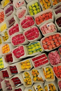 Спец предложение "Рулетка :-)"