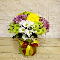 Разноцветные хризантемы в коробке