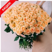 101 кремовая роза