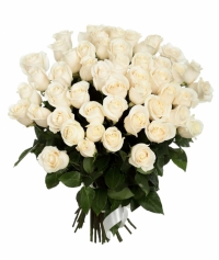 АКЦИЯ по Запорожью !!!!!!! 51 белая роза