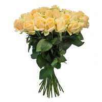 Кремовое счастье