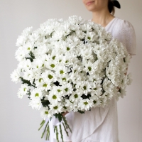 Букет Ромашек