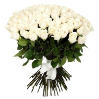 101 белая роза