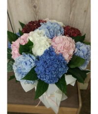 Гортензия микс