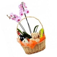 Орхидея в корзине с сюрпризом