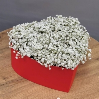 Сердце из гипсофилы