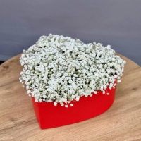 Сердце из гипсофилы