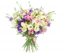 Нежные чувства