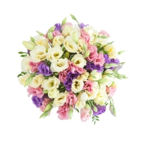 Нежные чувства