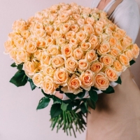 101 кремовая роза