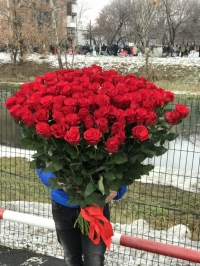 101 элитная красная роза