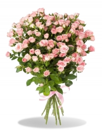 11 кустовых роз