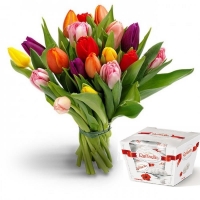 19 тюльпанов + Рафаэлло