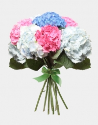 Гортензия микс