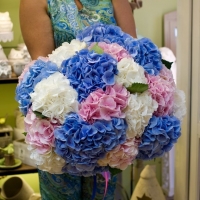 Гортензия микс