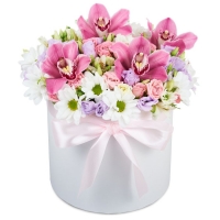 Для найулюбленішої