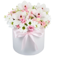 Для найулюбленішої