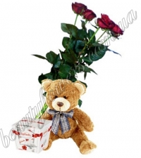 5 роз, мишка и Raffaello