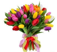 33 разноцветных тюльпана