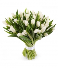 АКЦИЯ!!! 51 тюльпан