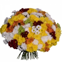 Предложение