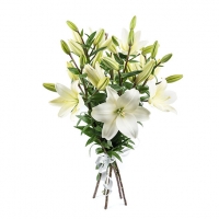 Букет лилии