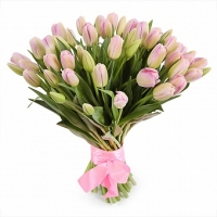 АКЦИЯ!!! 51 тюльпан