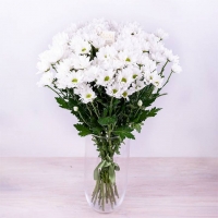 Комплимент с любовью