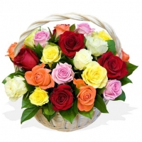 Мечта в корзинке