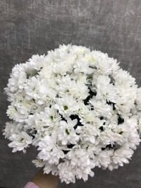 Комплимент с любовью