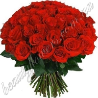 51 красная роза
