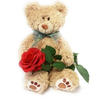 Милое создание