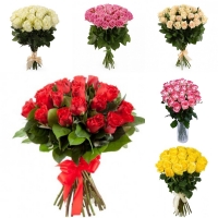 25 роз по лучшей цене в городе