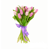 15 тюльпанов (цвет на выбор)