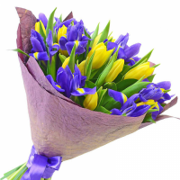 Весна пришла