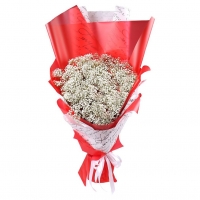 Зимнее счастье