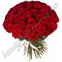 101 красная роза