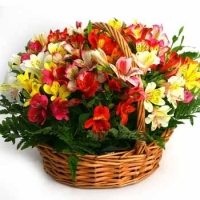 Корзинка альстромерий